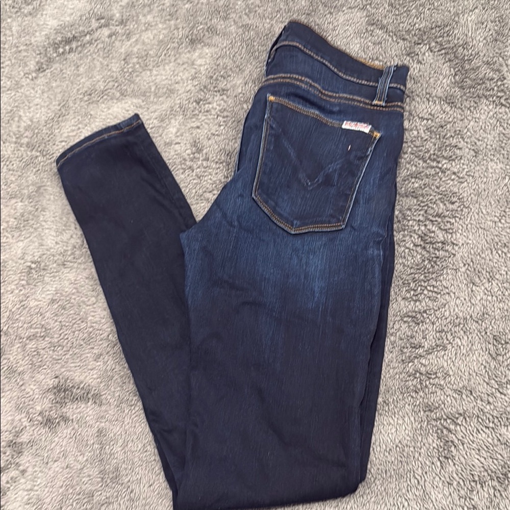 Hudson Jeans Blue Skinny Denim with Stretch